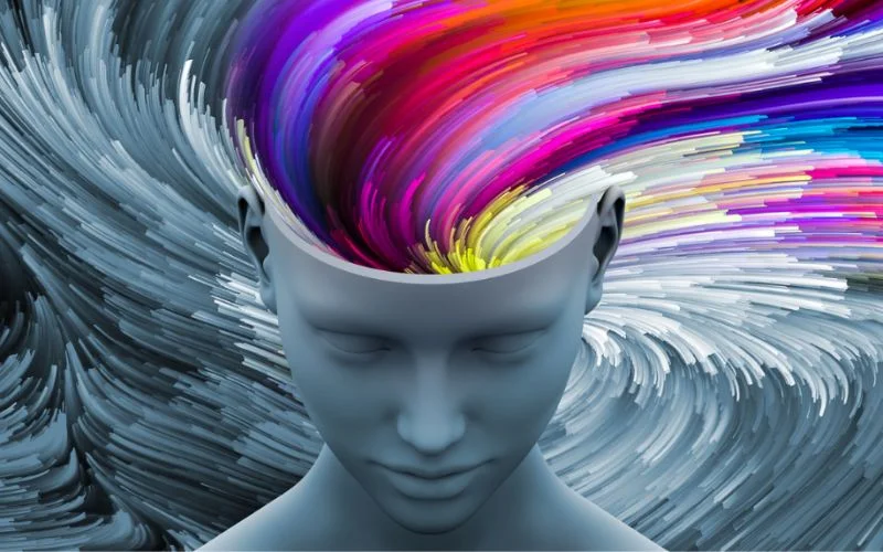 Competencias raras, el nuevo oro negro de las organizaciones - SKOLAE Formación