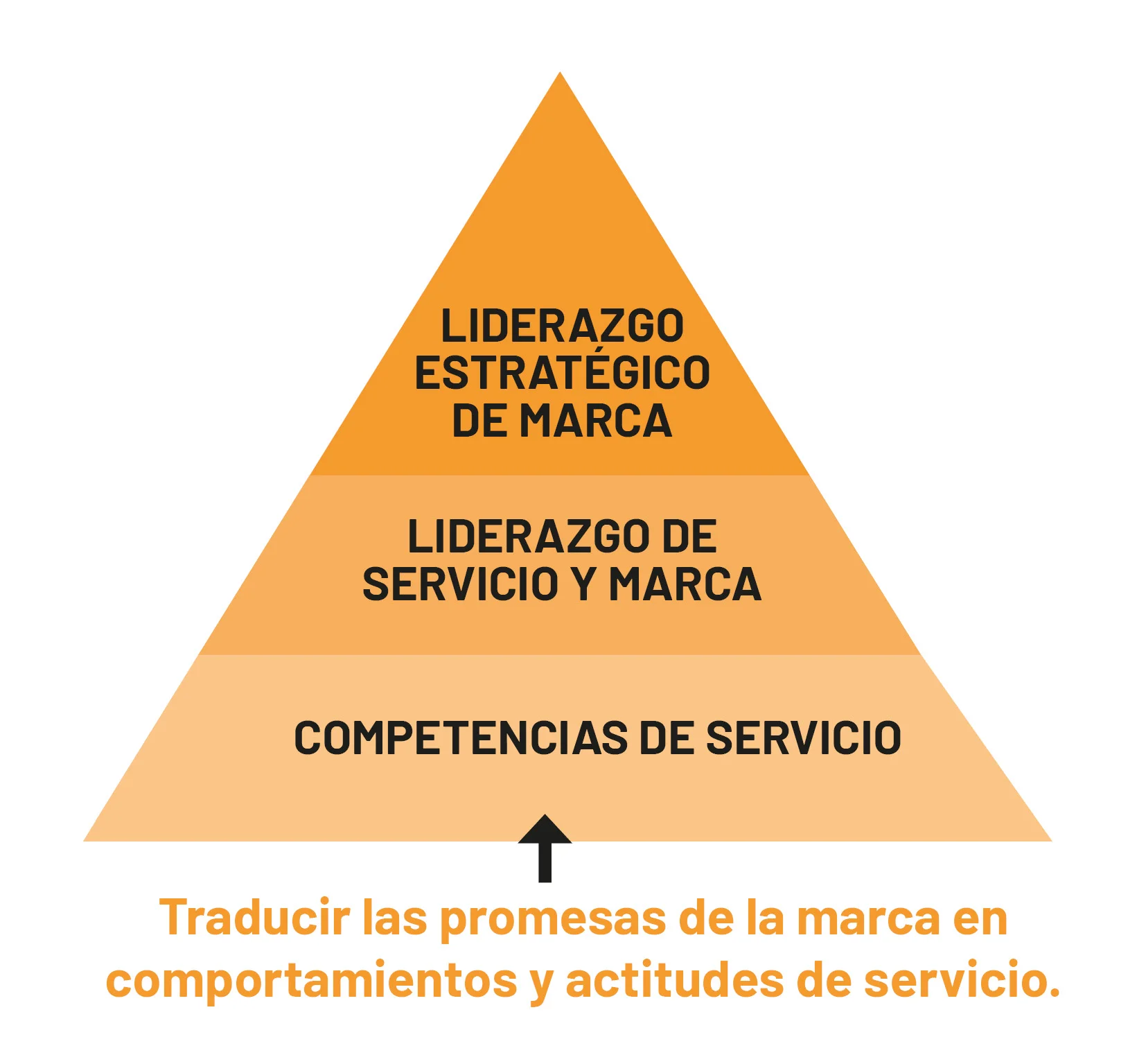 Esquema Formación en Liderazgo - SKOLAE Formación