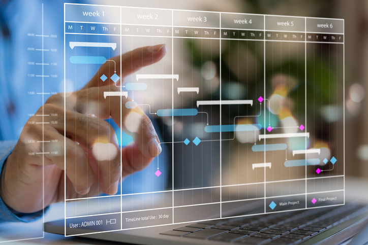 Gestión de Proyectos IT