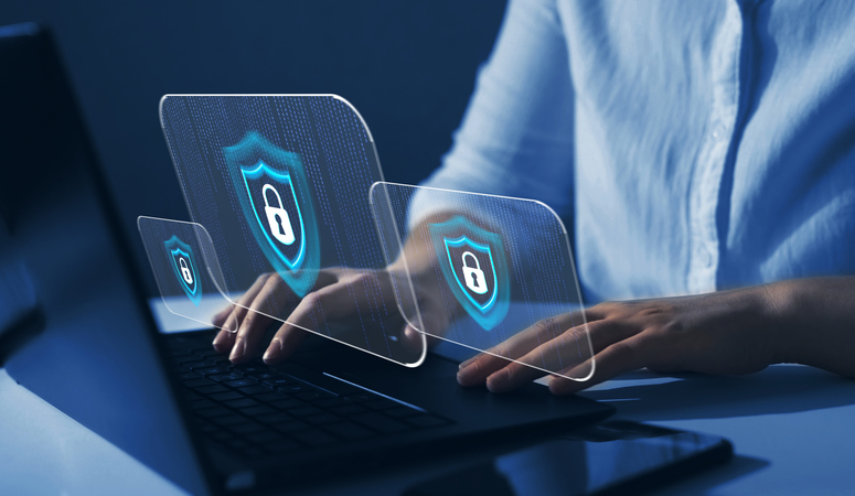 Seguridad Aplicaciones Web: Técnicas Defensivas y Ofensivas