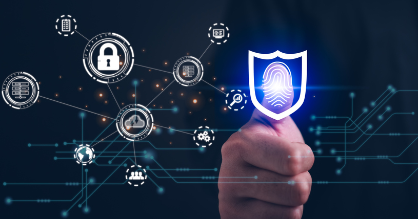 Seguridad Física y Lógica de Componentes